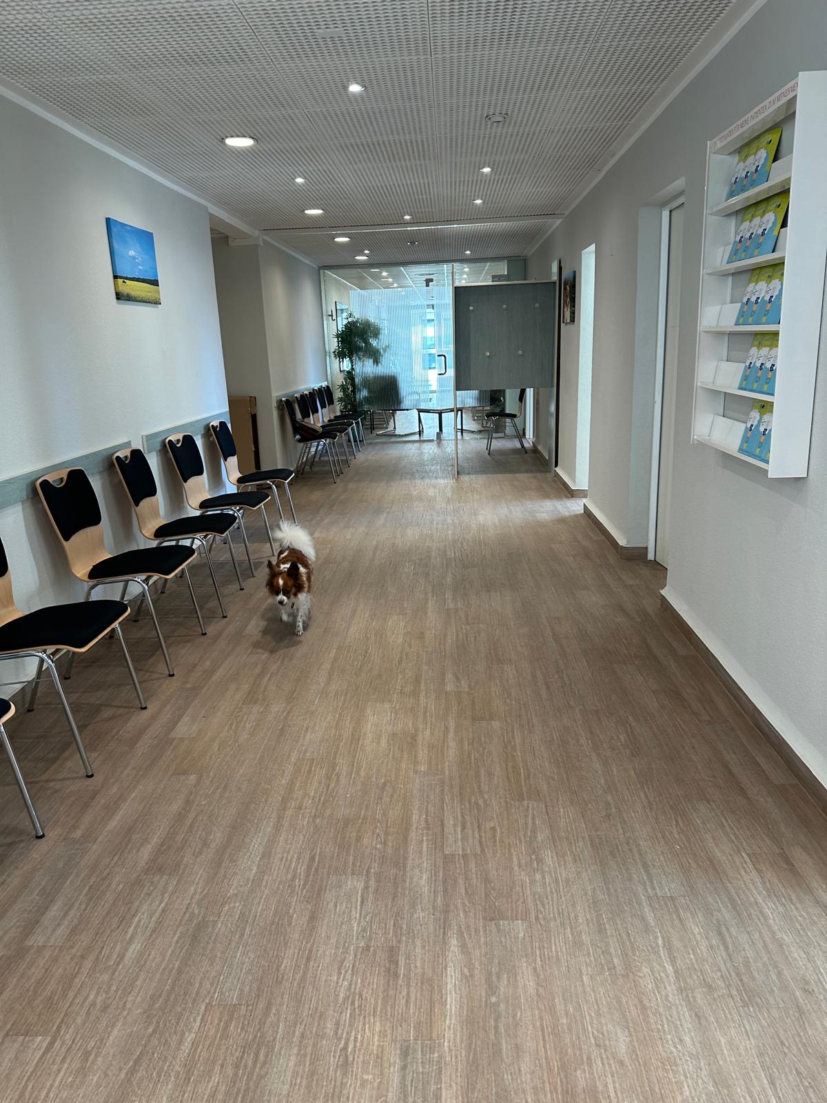 Neueröffnung: Ergotherapie am Fernsehturm Schwerin
